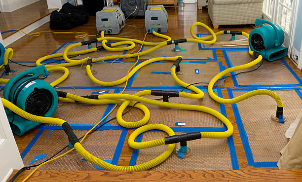 Professional Crawl Space Water Removal technician working in Agua Dulce, TX